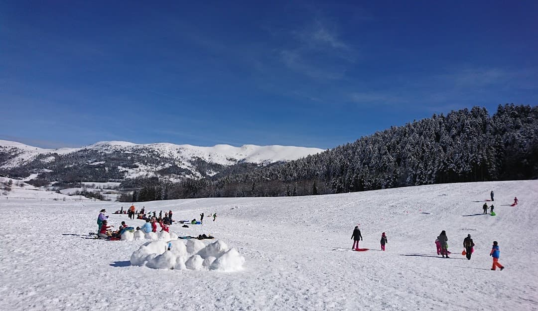 Winter sports enthusiasts enjoying their day at the Gresse en Vercors ski resort in France, surrounded by picturesque chalets and stunning snow-covered alpine scenery.