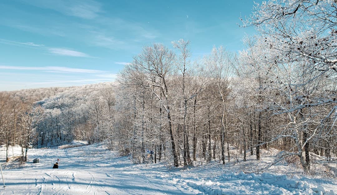 Winter sports enthusiasts enjoy a day at Mont Ste-Marie, Outaouais, amidst a stunning winter scenery featuring a powdery snow-filled landscape and a cozy chalet in the distance.