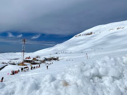 Winter scene at Cedars Bsharri, a ski resort in Cedars of Lebanon, North Governorate, Lebanon. Chalets stand amidst stunning winter scenery featuring snow-capped peaks and ski slopes.
