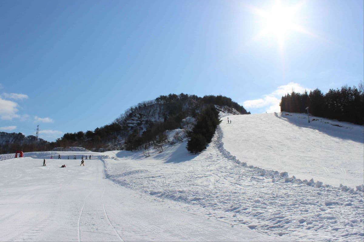 Tainai in Japan - a ski slope with people skiing down it.