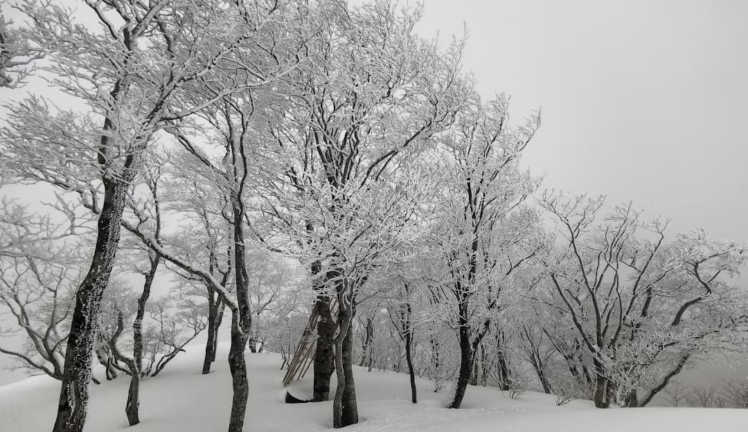 Winter scene in Okuibuki, Kansai, Japan. A picturesque landscape covered in pure white snow with a chalet and winter sports centre nestled amid the serene environment. Snow activities underway under the crisp winter sky.