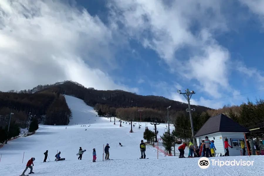 View of Echo Valley in Nagano, Japan featuring a bustling ski resort. The winter sports scene is vivid with skiers, a ski lift in operation, and a charming chalet nestled amid stunning winter landscapes.