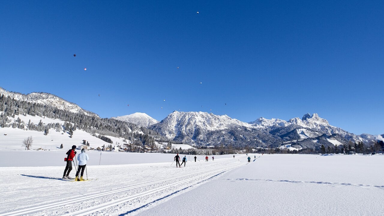 Krinnenalpe resort background