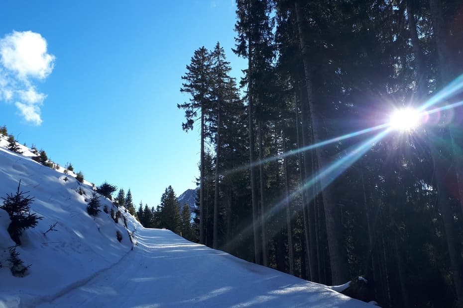 Winter sports action at Krinnenalpe in Reutte, Tannheimer Tal, Nesselwängle, Tyrol, Austria. The sunny day illuminates a skier and a snowboarder maneuvering the slopes of the bustling ski resort.