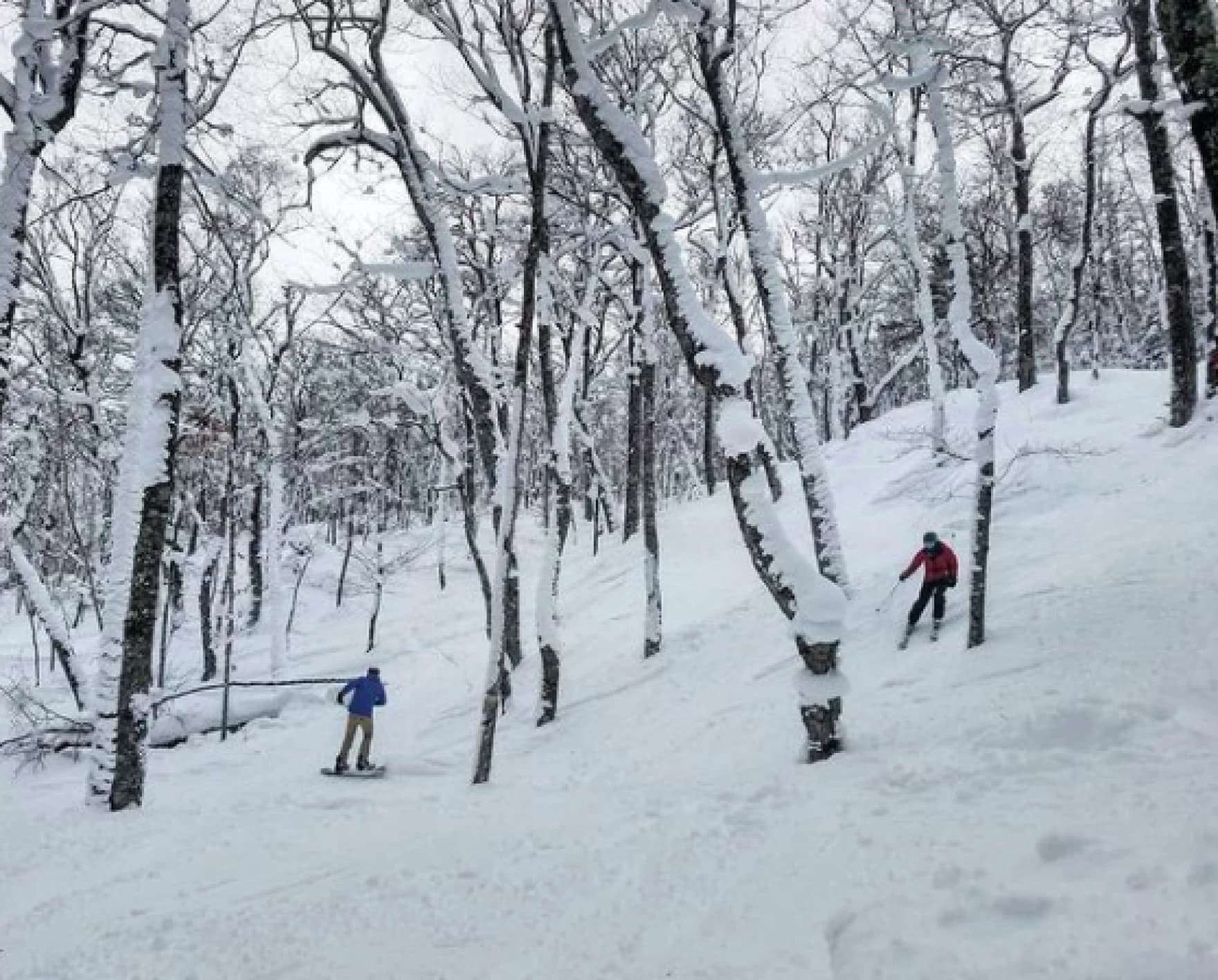 A skier enjoying a winter's day at Mt. Bohemia ski resort in Mohawk Michigan. The breathtaking snow-covered landscape sets a stunning background for the winter sports scene.