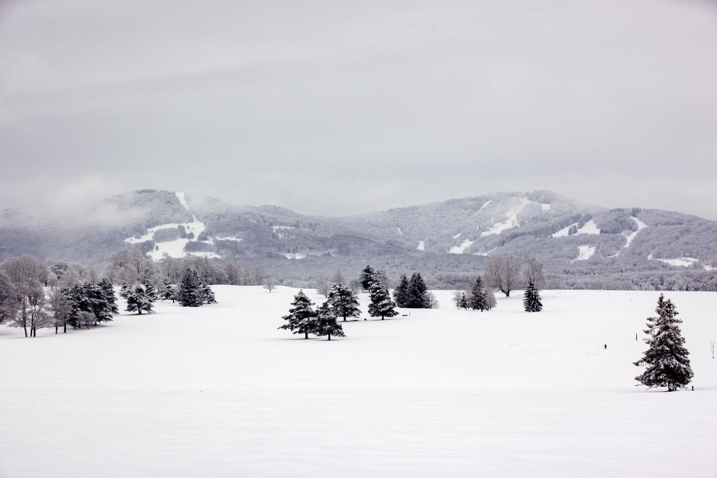 Canaan Valley in USA - a snowy landscape with trees and mountains in the background.