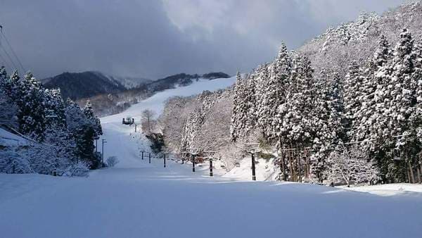 Winter wonderland in Manba, Japan featuring a picturesque chalet amidst snow-covered trees, a ski resort in the distance, and individuals enjoying winter sports activities.