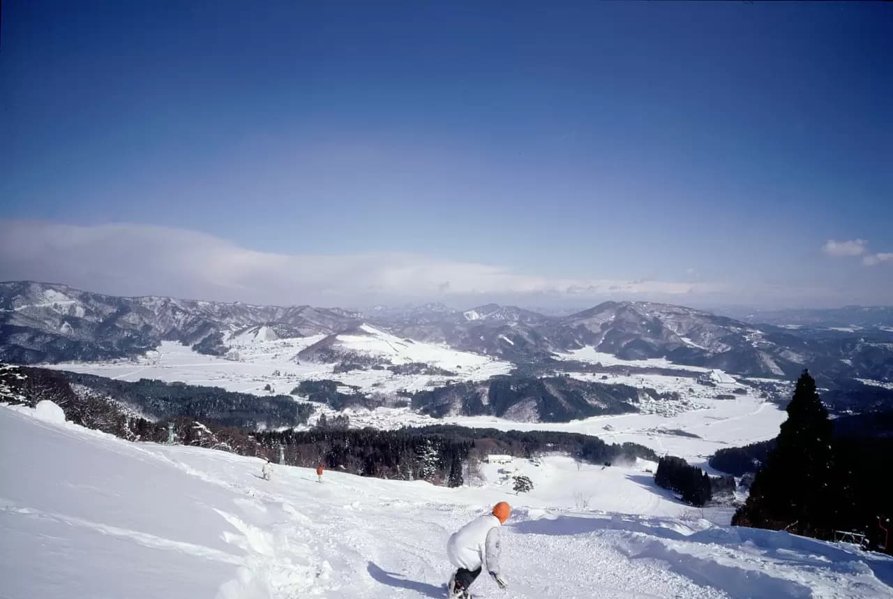 Manba in Japan - a person is skiing down a snowy hill.