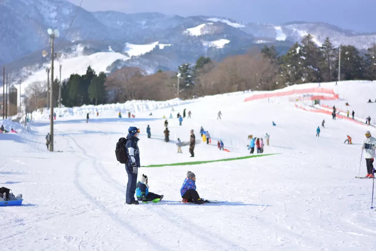 Manba in Japan - a group of people skiing down a snowy hill.
