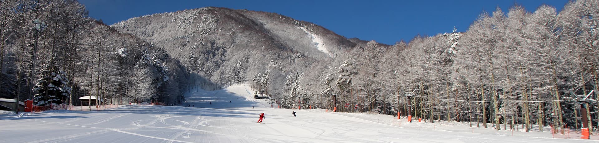 Fujimi Panorama in Japan - a person is skiing down a snowy hill.