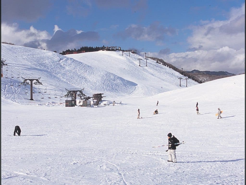 Imajo 365 in Japan - a group of people skiing down a snowy hill.