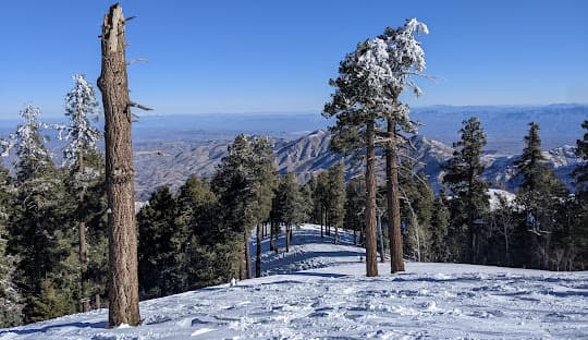Winter sports enthusiasts enjoying a day at Mt Lemmon Ski Valley in Arizona. The mountainous winter scenery serves as the backdrop to a bustling ski resort.