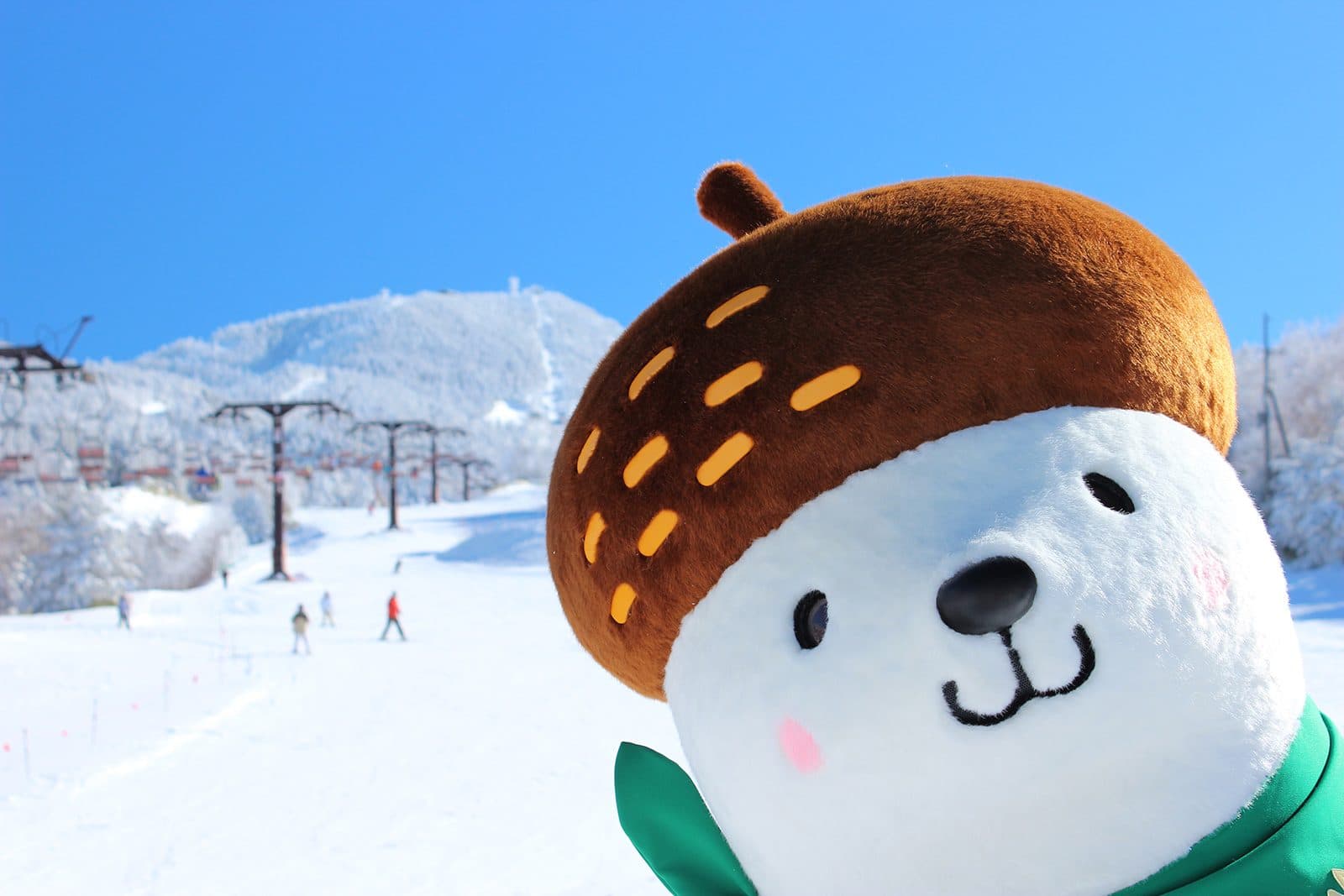Shigakogen Hasuike in Japan - a stuffed bear wearing a green scarf on a ski slope.