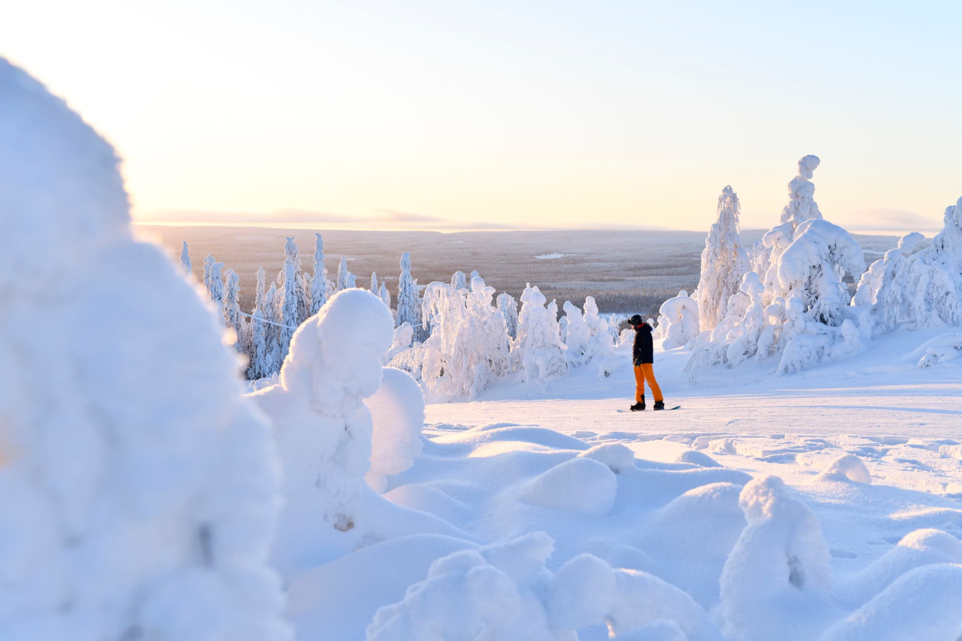 Winter sports enthusiasts skiing and snowboarding amidst stunning winter scenery at Ukkohalla, Kainuu, East Finland, with snow-covered trees and hills.