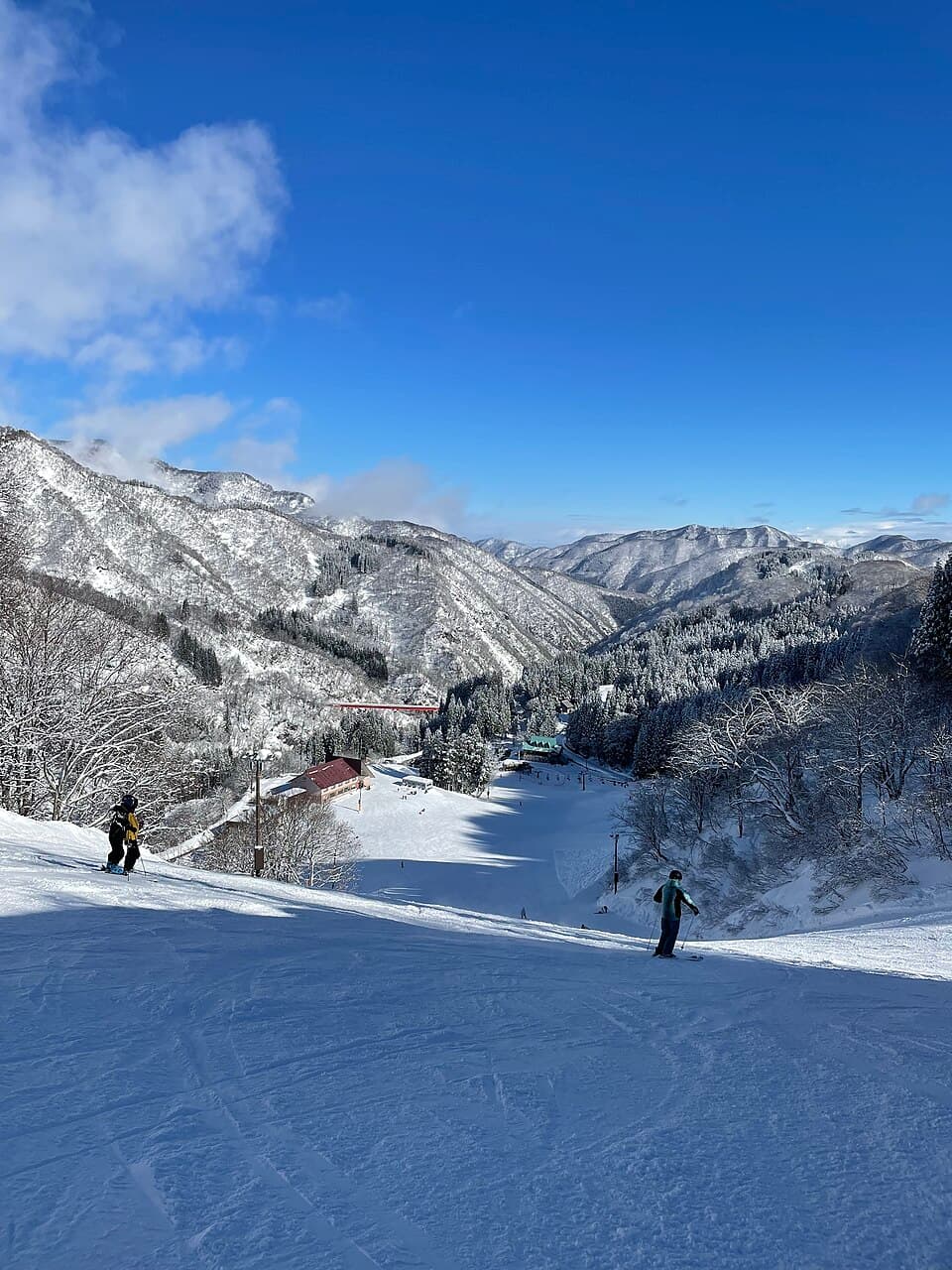 Taira in Japan - a group of people skiing down a snowy slope.