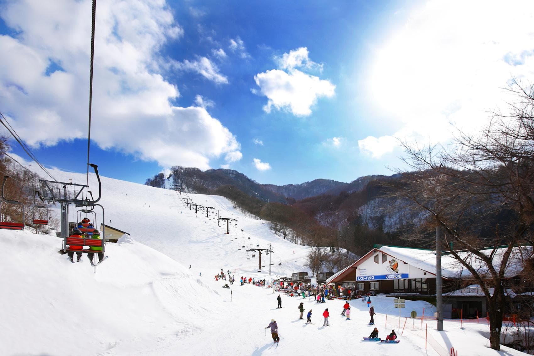 Winter scene at Okutone Snow Park, Japan, featuring a ski resort amidst stunning winter scenery with visible ski lifts, serving as a popular spot for winter sports.