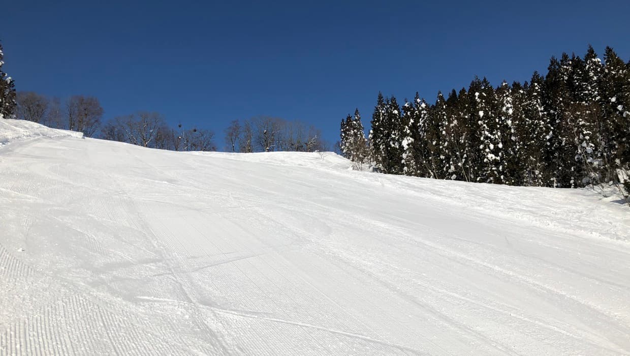 Asahi Shizen in Japan - a snow covered slope with trees in the background.