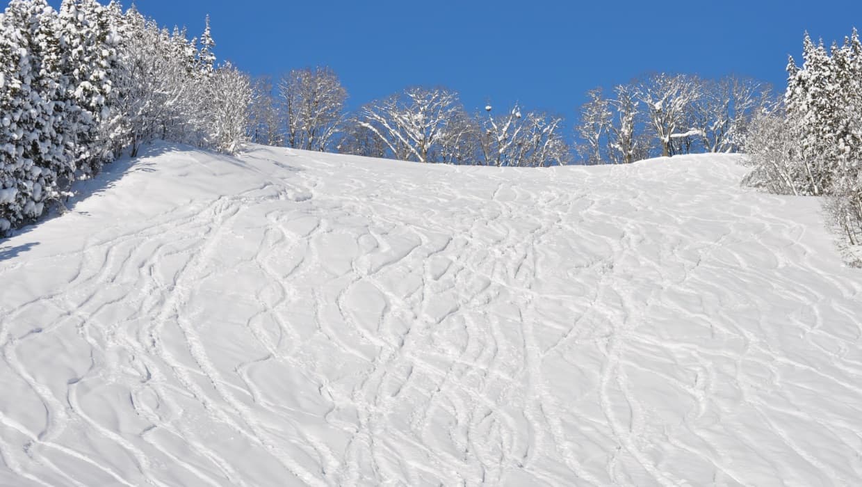 Asahi Shizen in Japan - a snow covered slope with trees in the background.