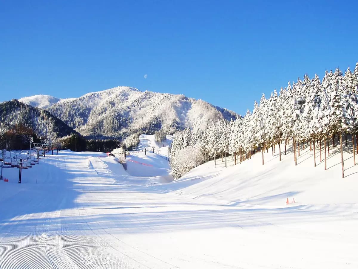 Tsuguro Kogen in Japan - a ski slope covered in snow and trees.