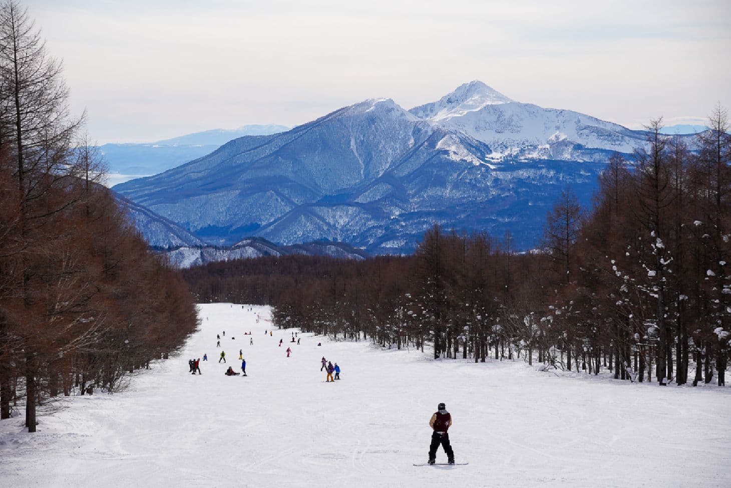 Sannokura in Japan - a group of people skiing down a snowy slope.