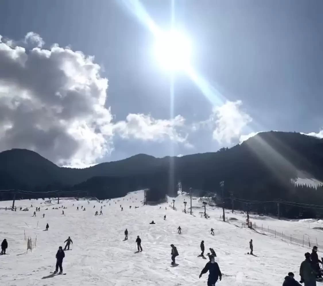 Hiruzen Bear Valley in Japan - a group of people skiing down a snow covered slope.