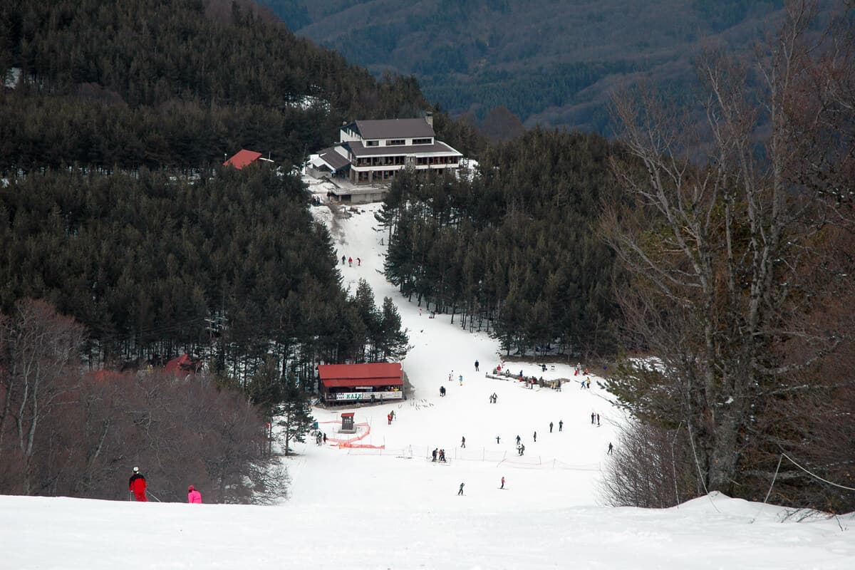Lailia in Greece - a group of people skiing down a snowy slope.