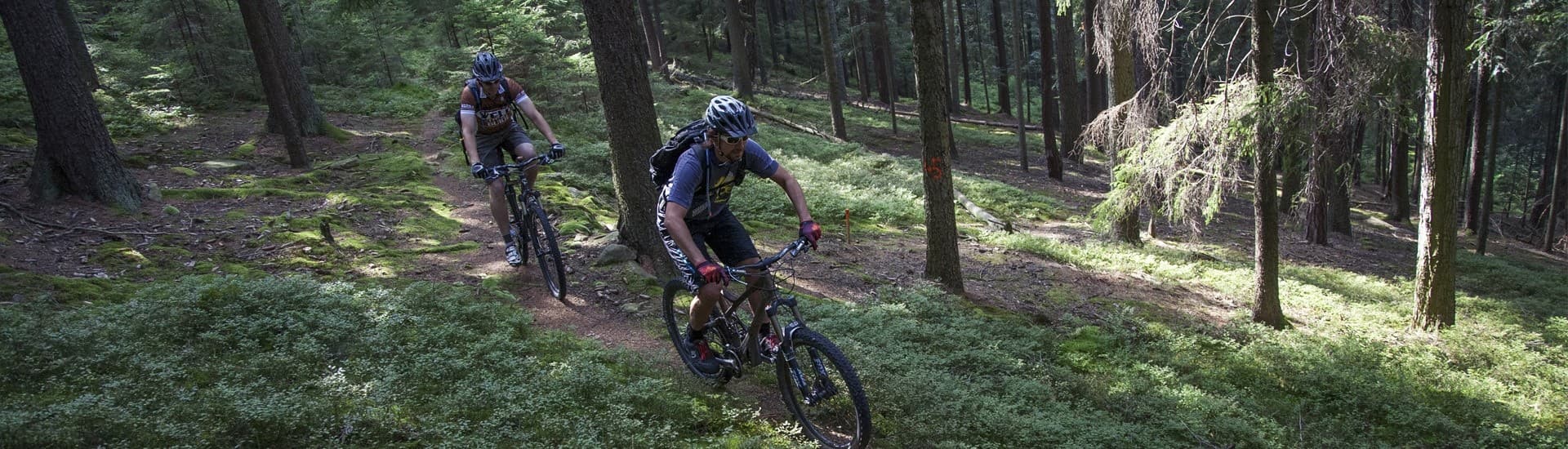 Javorník na Šumavě in Czech Republic - two mountain bikers riding through the forest.
