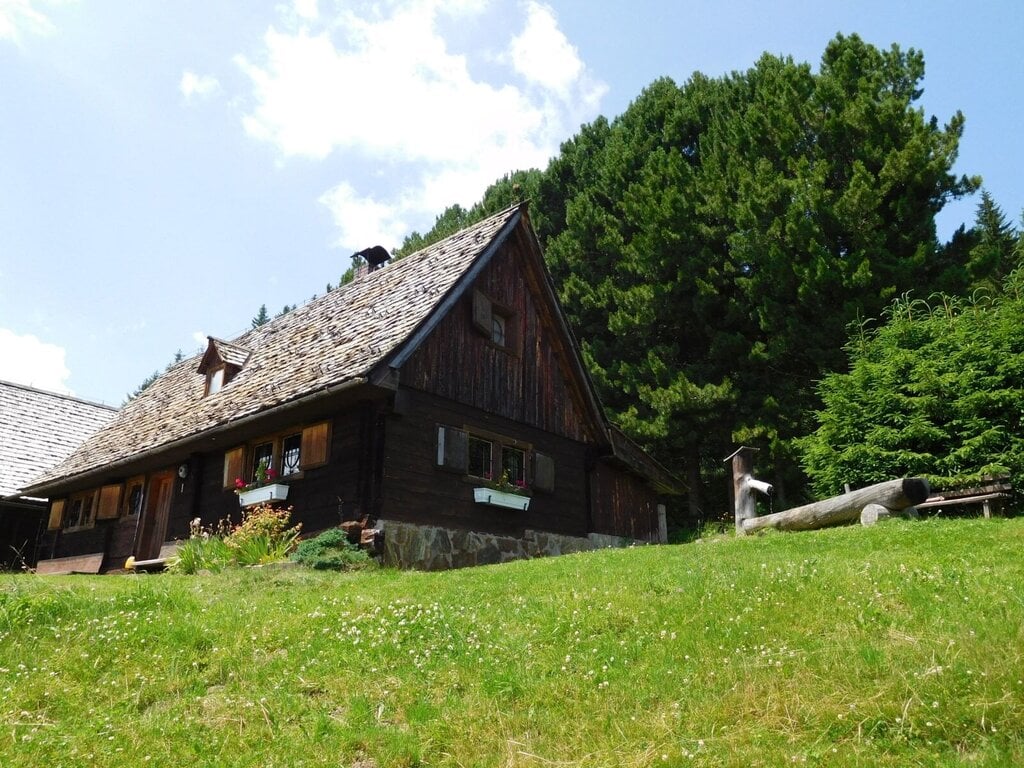 Katschwald resort background