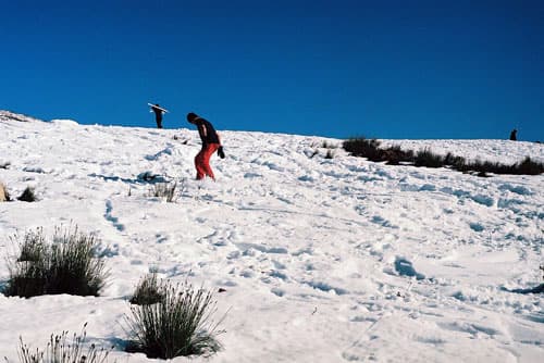 A winter sports scene at Matroosberg, Western Cape, South Africa, featuring a skier and a snowboarder against the backdrop of a chalet.