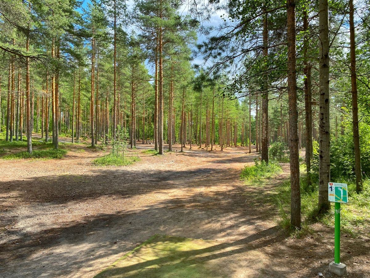 Köykkyri in Finland - a dirt road in the middle of a forest.