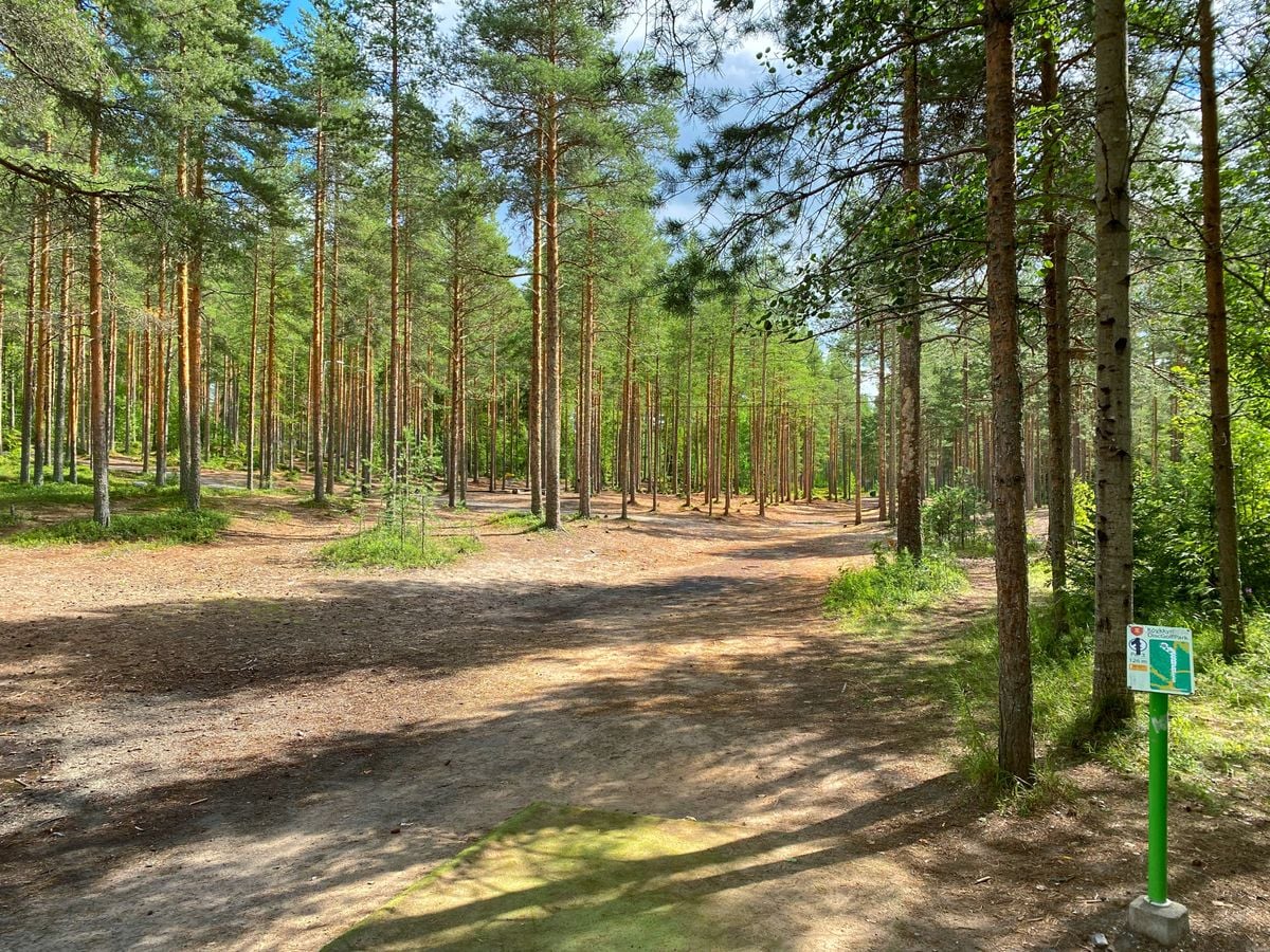Köykkyri resort background