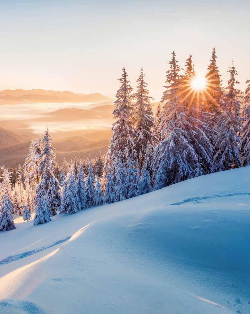 Nylandsbacken in Sweden - a snowy landscape with trees and mountains in the background.