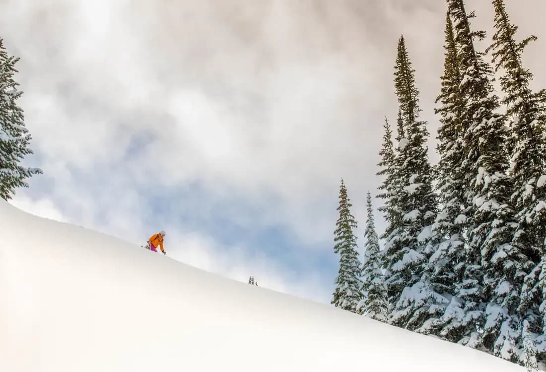 Gothics, Canada, a skier going down the mountain