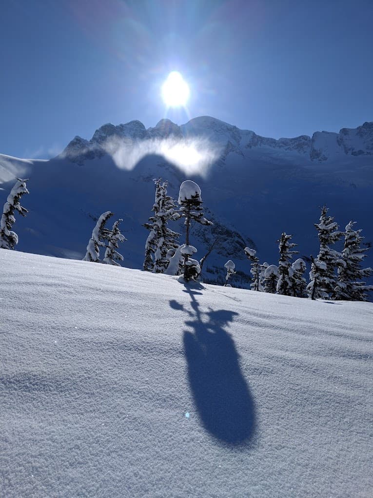 A skier descending a snowy mountain in the Cariboo Chilcotin Coast region of British Columbia, Canada. The scene displays the thrill of winter sports against the backdrop of a chalet nestled amongst the majestic mountains.
