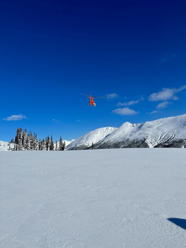 A skier in action at the vibrant winter sports scene at Skeena Heliskiing in Northern British Columbia Canada surrounded by pristine snow.