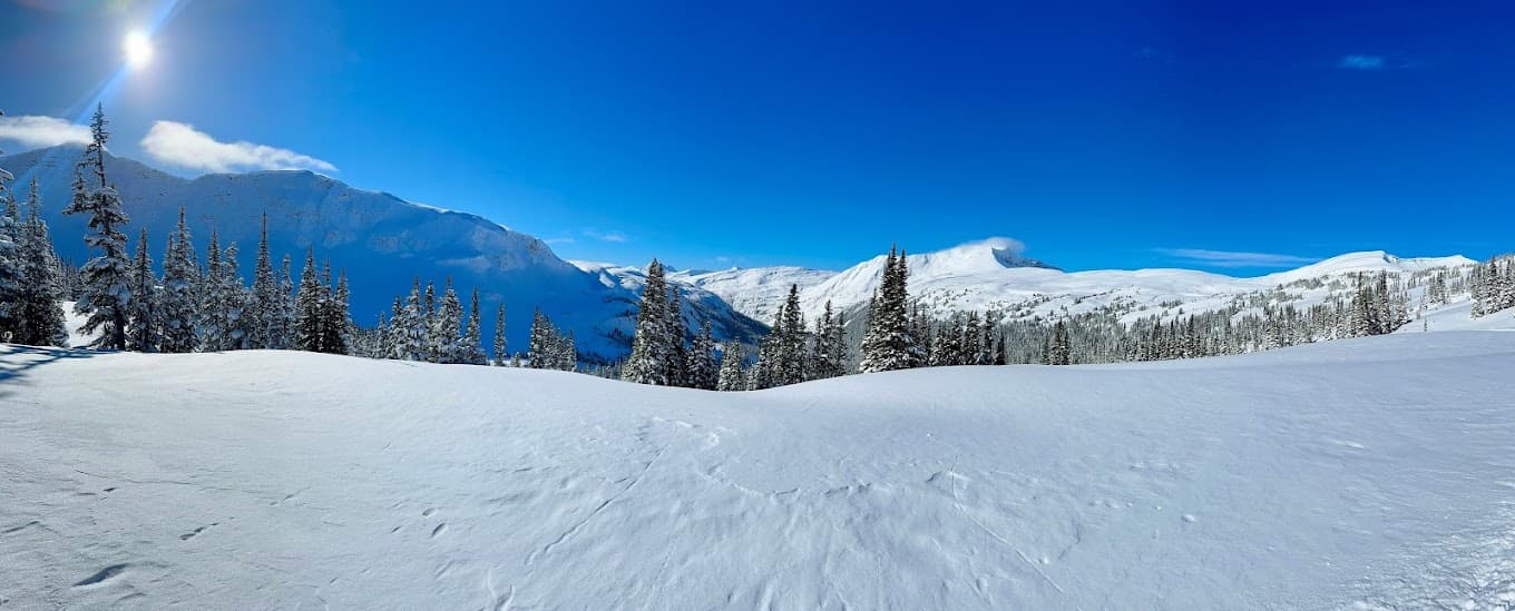A thrilling winter sports scene at Skeena Heliskiing in Northern British Columbia, Canada. The snow-covered slopes of the ski resort are highlighted with winter scenery and a snowy mountain is vaguely visible in the backdrop.