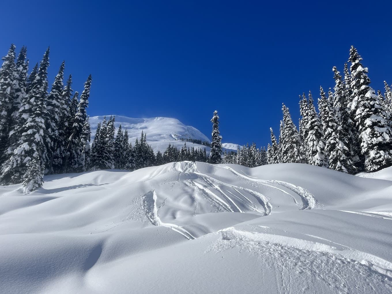 Winter sports scene at Skeena Heliskiing in Northern British Columbia, featuring a snowmobile, snow-covered slopes, and stunning winter scenery.