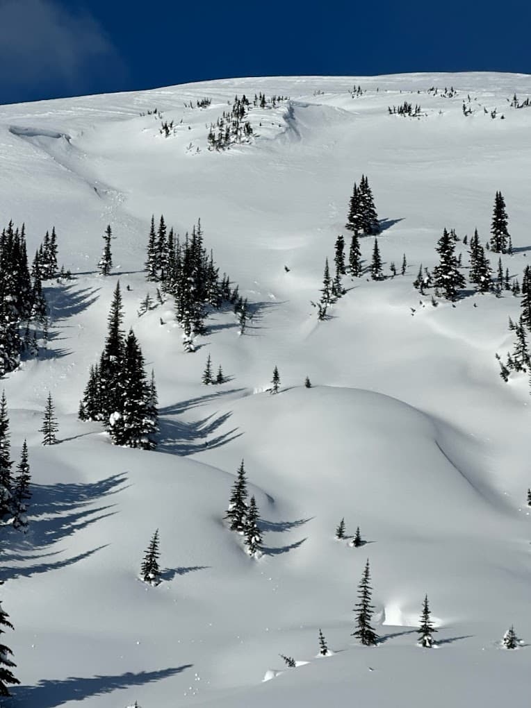 Spectacular view of Skeena Heliskiing in Northern British Columbia, Canada showcasing snow-covered slopes. The winter sports scene at the ski resort features a grand snowy mountain.