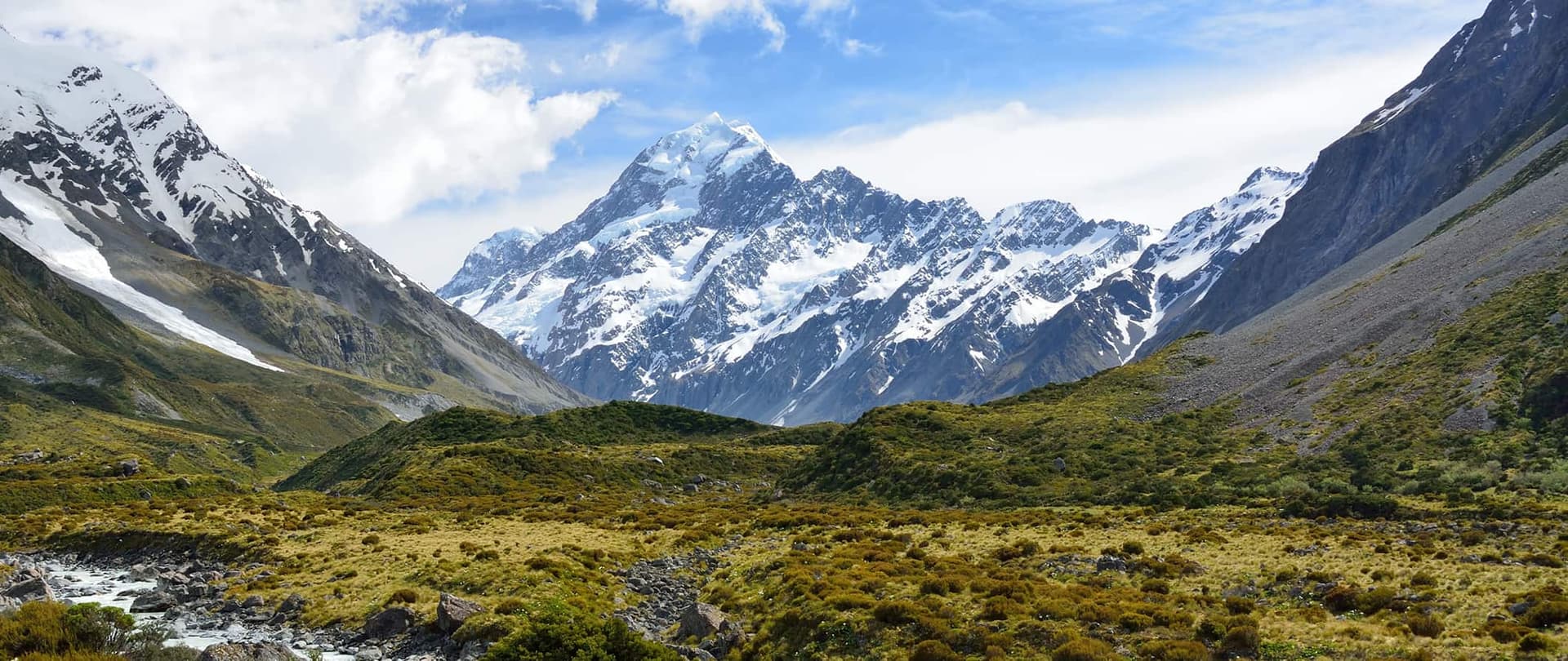 Wilderness in New Zealand - mountains in the background.