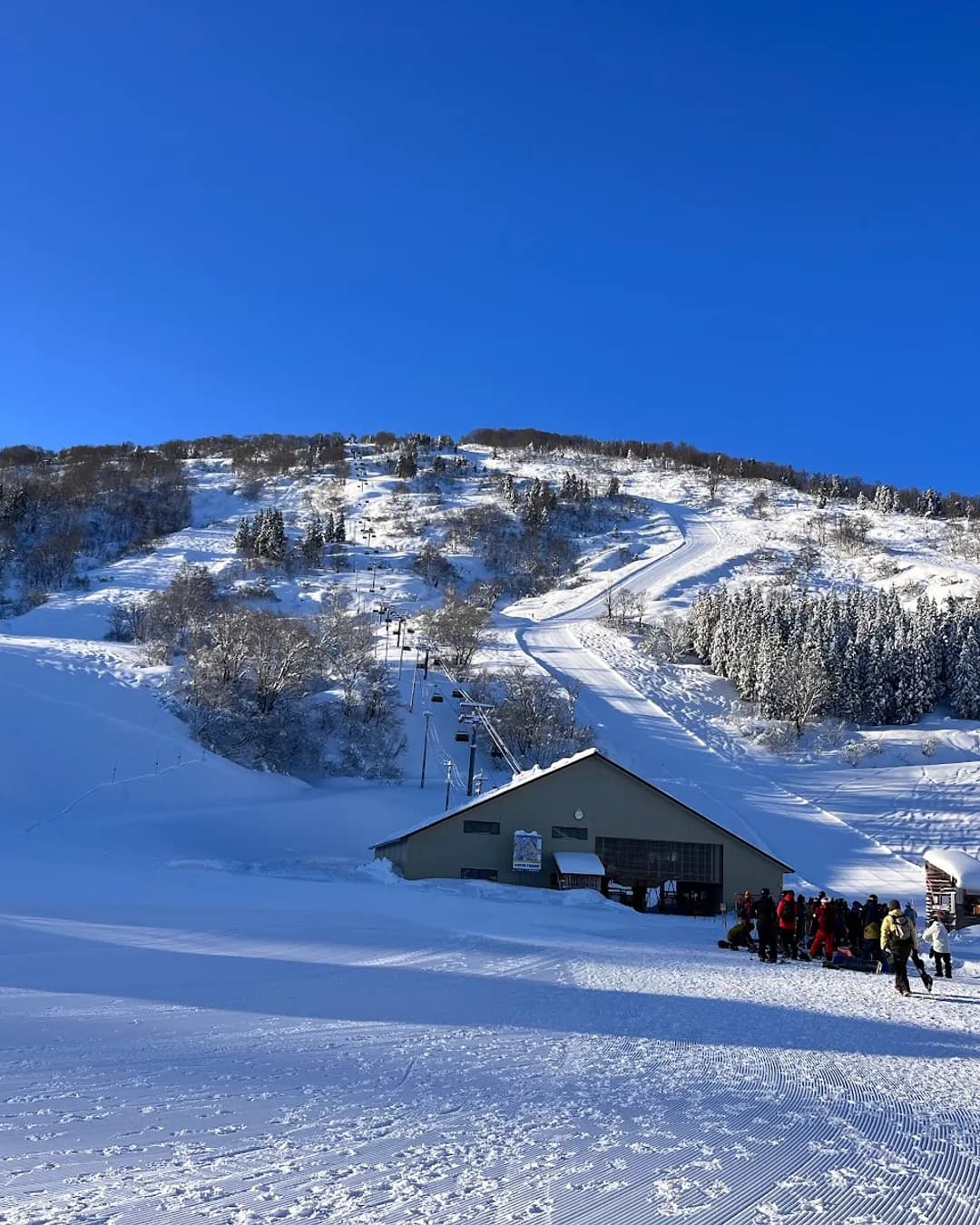 Komadori in Japan - a group of people standing in the snow.