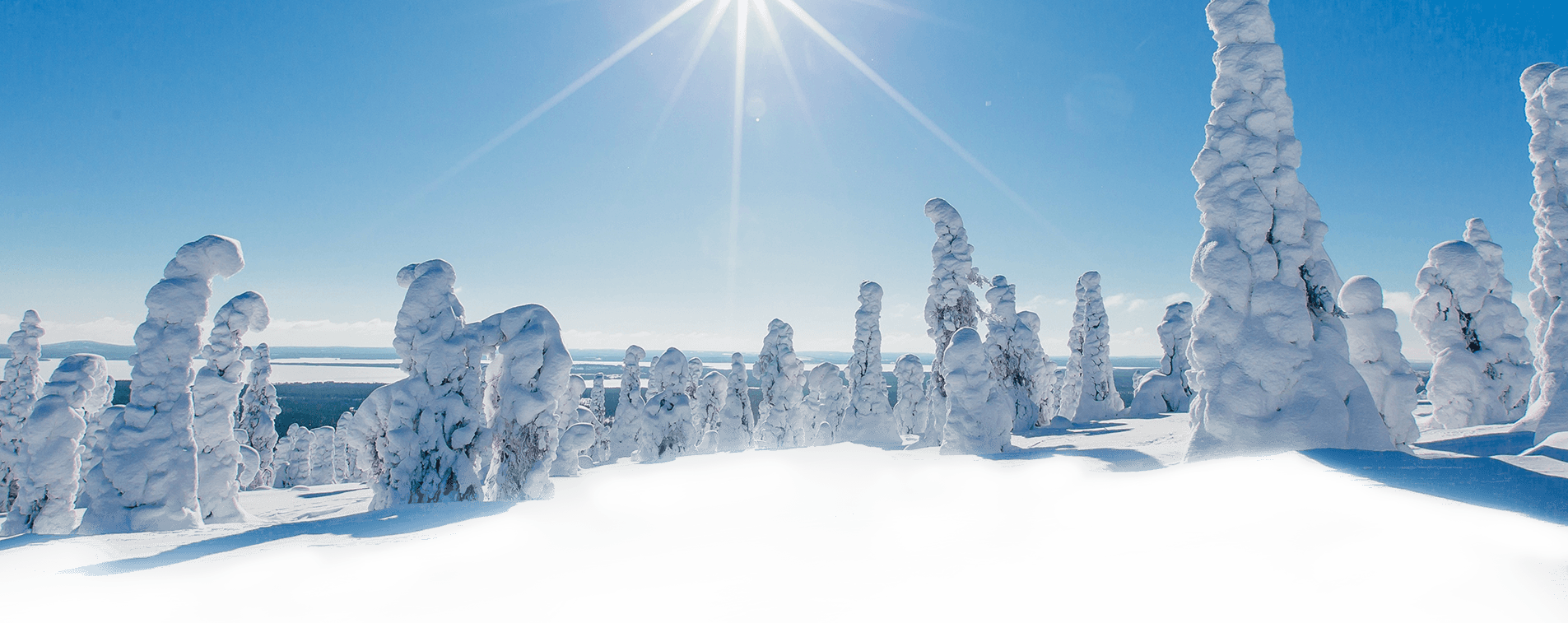 Highland Powder Cat Skiing in Canada - a person on a snowboard in the snow.
