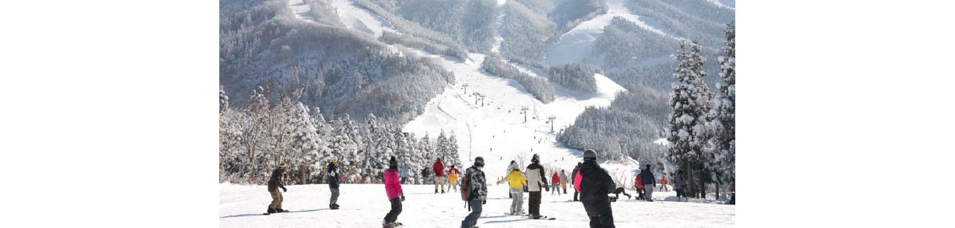 Jam Katsuyama in Japan - a group of people skiing down a snow covered mountain.