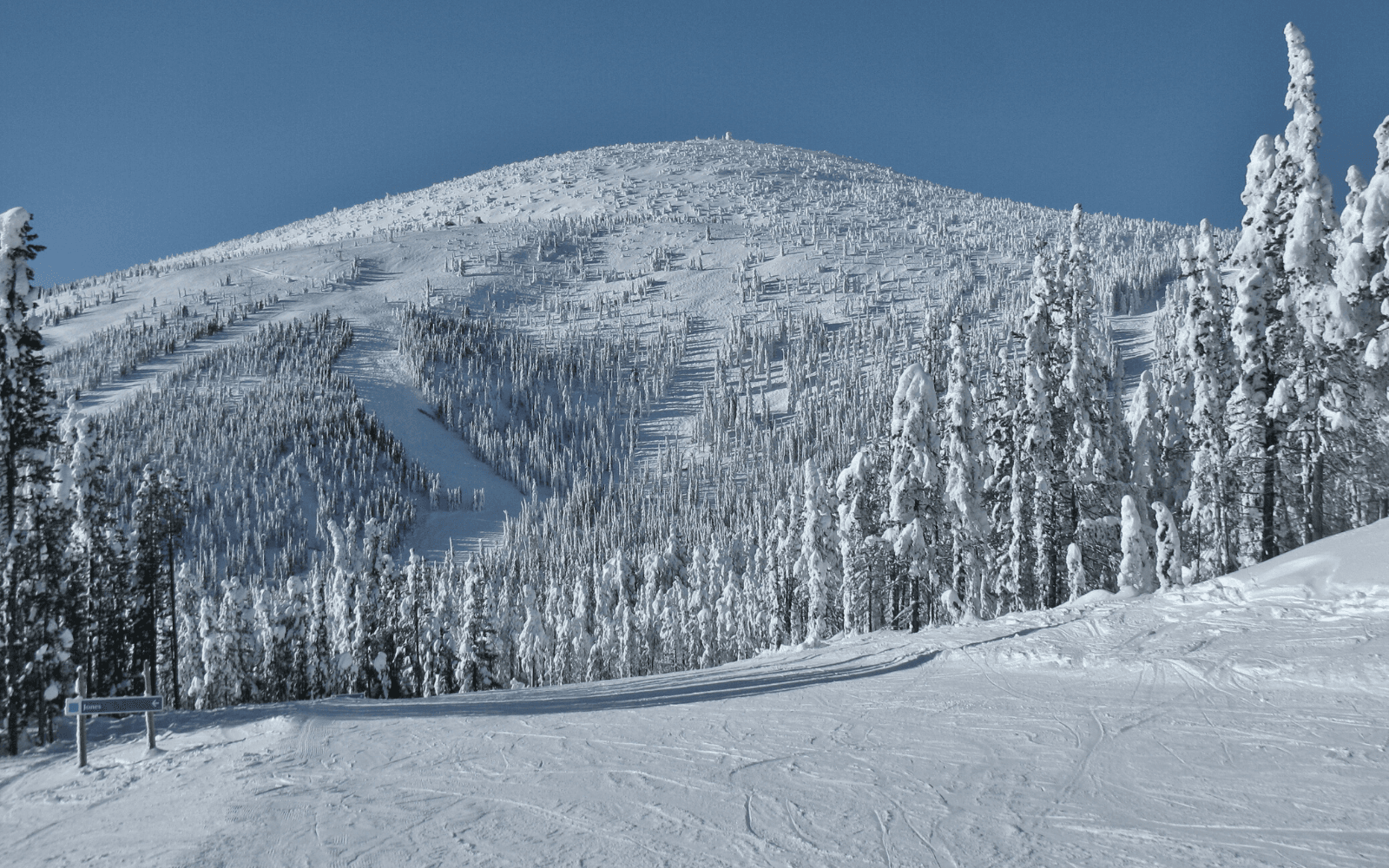 Baldy Mountain Resort in Canada - a person skiing down a snow covered mountain.