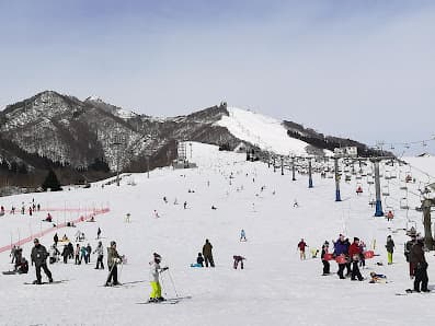 View of the bustling Iwappara ski resort in Chūbu, Honshu, Japan, featuring skiers descending snow-covered slopes, amidst a captivating winter scenery.