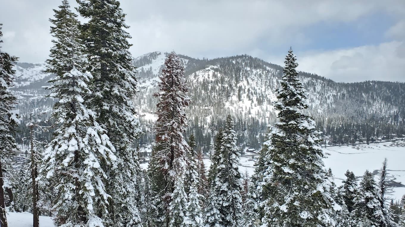 A winter sports scene at Palisades Tahoe in Lake Tahoe, California featuring snow-covered slopes under a clear sky. Enthusiast skiers and snowboarders are enjoying the day at this majestic ski resort.